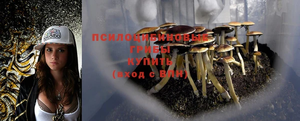 кокаин Арсеньев