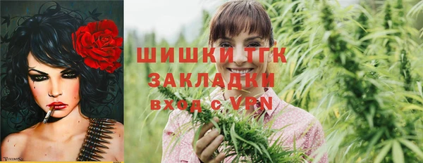 дурь Алексин
