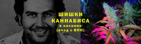 PSILOCYBIN Армянск