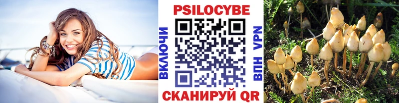 Псилоцибиновые грибы MAGIC MUSHROOMS  Суджа 
